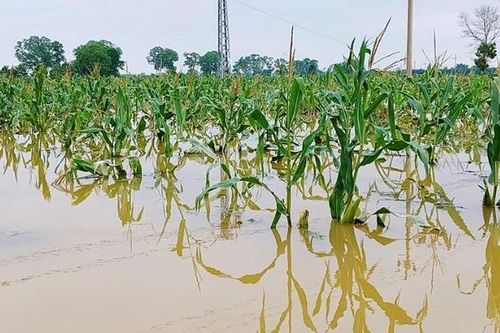 Quảng Trị kiến nghị khoanh nợ, giãn nợ, giảm lãi suất do thiên tai