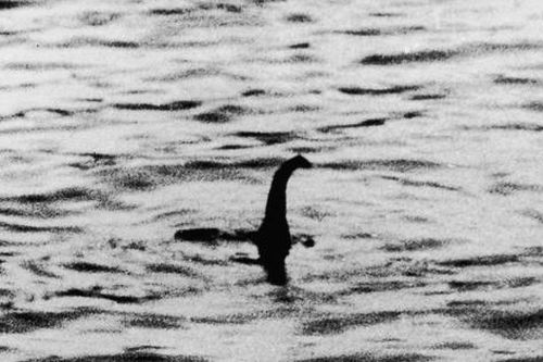Quái vật hồ Loch Ness thực ra là dương vật của cá voi ?