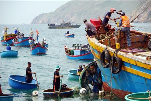 Hải quân bàn giao ngư dân và tàu cá Bình Định gặp nạn cho địa phương