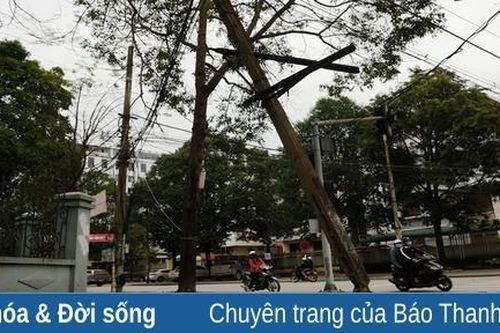 Những cột điện ngả nghiêng giữa phố