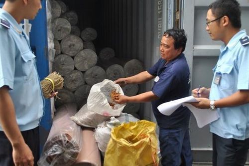 Hải quan Quảng Ninh cưỡng chế hơn 70 doanh nghiệp nợ thuế chây ỳ gần 123 tỷ đồng