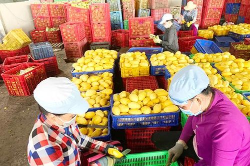 Nhiều rào cản cần tháo gỡ