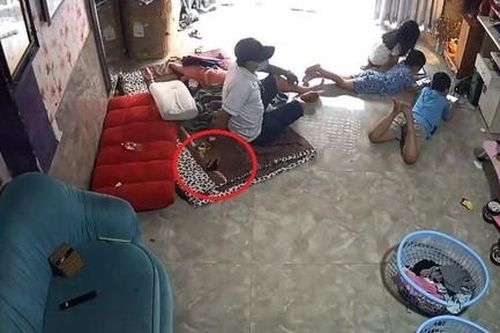 Người đàn ông lừa trẻ em vào nhà để trộm tài sản gây bức xúc