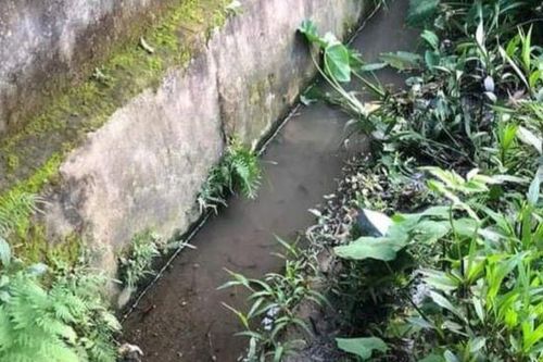 Đến trường đón con, người đàn ông ngã xuống mương tử vong