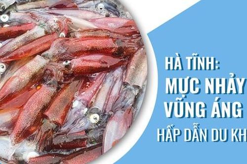 Hà Tĩnh: Mực nhảy Vũng Áng hấp dẫn du khách