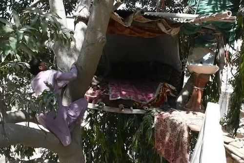 Người đàn ông sống trong ngôi nhà trên cây tạm bợ... hơn 8 năm