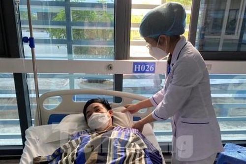 Lạng Sơn: 9 người nhập viện vì hái lá ngón về xào ăn