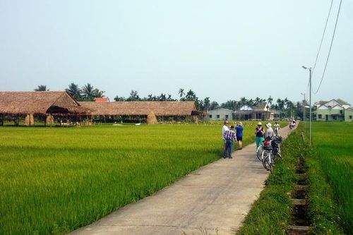 Ấn tượng Việt Nam trên ruộng đồng miền di sản ở Quảng Nam
