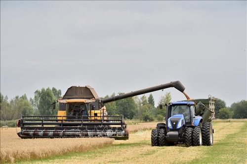 FAO kêu gọi hỗ trợ khẩn cấp các hộ gia đình nông dân Ukraine