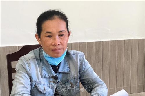 Khởi tố người phụ nữ làm giả 'sổ đỏ' của cha ruột để lừa đảo