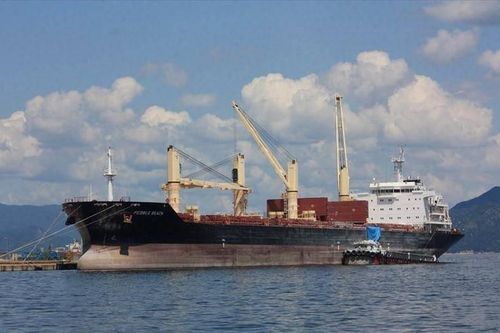 Tàu chở phân bón Nga vẫn tới Brazil bất chấp lệnh trừng phạt