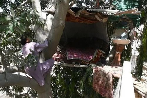 Chàng trai 'Tarzan' dựng tổ trên cây sống như chim suốt 8 năm
