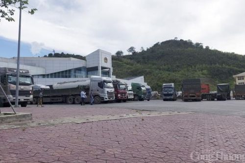 Nghệ An: Khôi phục chính sách xuất nhập cảnh trong tình hình mới