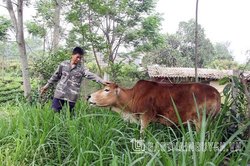 Về Tức Tranh nghe chuyện giảm nghèo