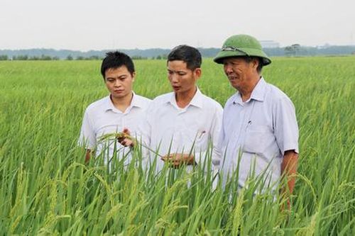 HTX tìm sức vươn với sản xuất 'thuận thiên'