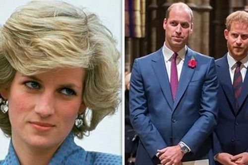 Hoàng tử Harry trả lời lạ khi được hỏi về cha và anh trai, nói gì về Công nương Diana?
