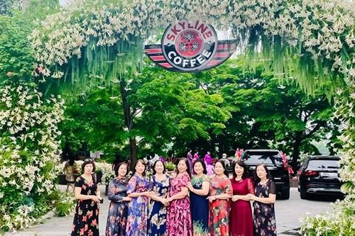 Hà Nội: Hàng nghìn bông hoa loa kèn khoe sắc thu hút đông đảo người dân đến chụp ảnh