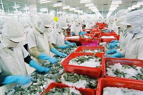 Xuất khẩu nông sản 'trong nguy có cơ'