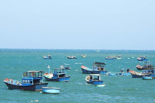 Ninh Thuận triển khai các biện pháp xử lý vụ tàu Phúc Tình 26 bị chìm