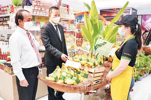 Cơ hội đầu tư vào khu vực Mỹ Latinh