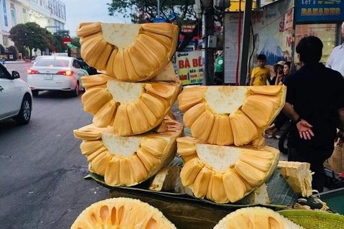 Mít Thái tại vườn rớt giá thê thảm chỉ còn 2.000 đồng/kg