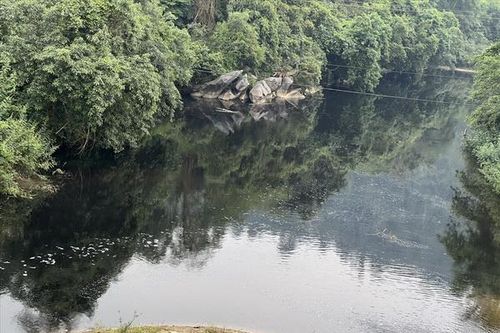 Thanh Hóa: Dừng hoạt động với công ty xả thải gây ô nhiễm sông Tràng