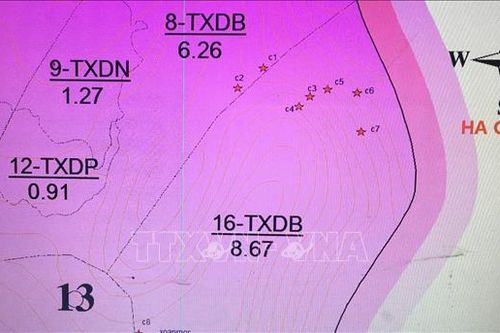 Tuyên Quang: Điều tra vụ phá rừng đặc dụng Cham Chu