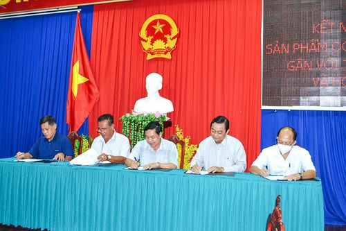 Kết nối sản phẩm OCOP và đặc sản vùng miền gắn kết với thị trường tiêu thụ và hoạt động du lịch