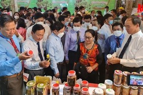Khai mạc Ngày hội mắm Châu Đốc, An Giang – Đặc sản các vùng miền năm 2022