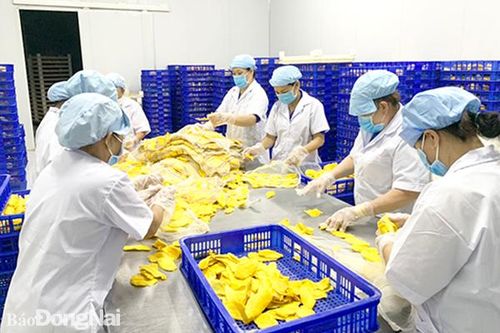 Khó thu hút doanh nghiệp đầu tư chuỗi sản xuất nông nghiệp