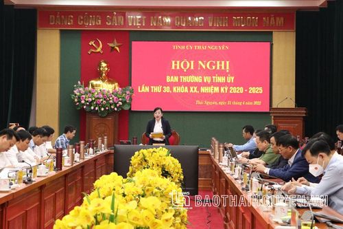 Ban Thường vụ Tỉnh ủy cho ý kiến vào chủ trương thực hiện nhiều dự án