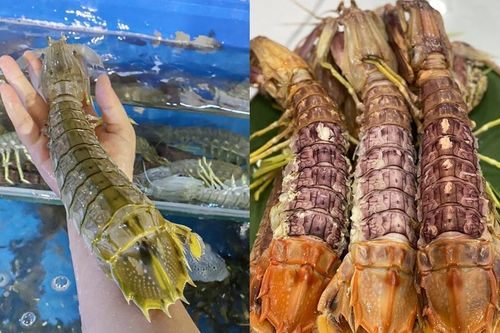 Bề bề chúa quý hiếm, giá 3-4 triệu đồng/kg luôn được giới sành ăn săn lùng