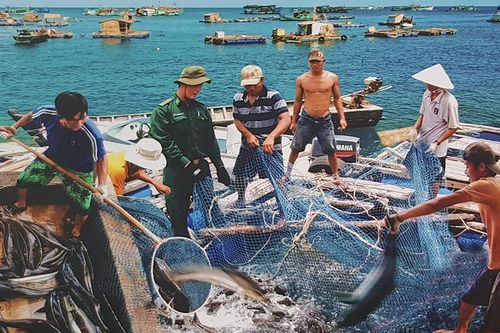 Bài 2: Chiến lược, mục tiêu trong bối cảnh, tình hình mới