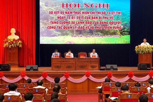 Đắk Lắk xử lý nghiêm, không vùng cấm trong công tác quản lý, bảo vệ rừng