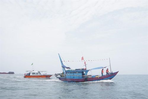 BĐBP Ninh Bình: Tạm giữ 5 tàu cá khai thác thủy sản trái phép