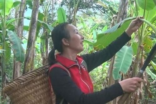 Nữ thủ lĩnh giỏi người Mông ở Lưu Kiền