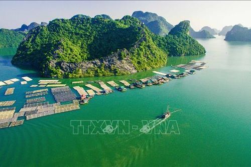 Hải Phòng liên kết doanh nghiệp hỗ trợ ngư dân tiêu thụ hải sản