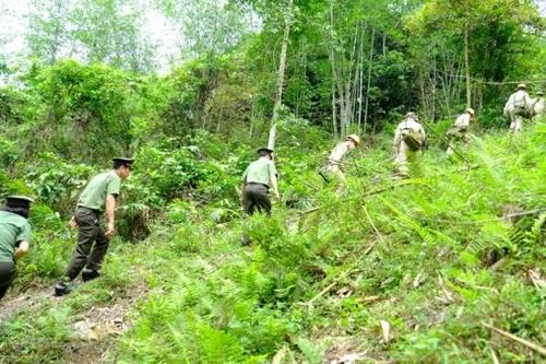 Truyền tải điện Hòa Bình: Nỗ lực nối dài những dòng điện
