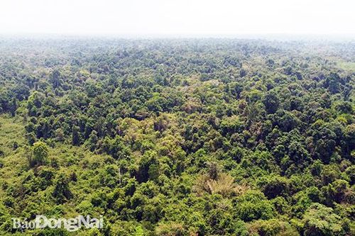 Đồng Nai đề nghị UNESCO cho ý kiến về việc xây dựng cầu Mã Đà