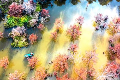 Hồ Cầu Dầu hút hồn du khách