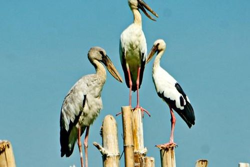 Vẻ đẹp sông Đầm