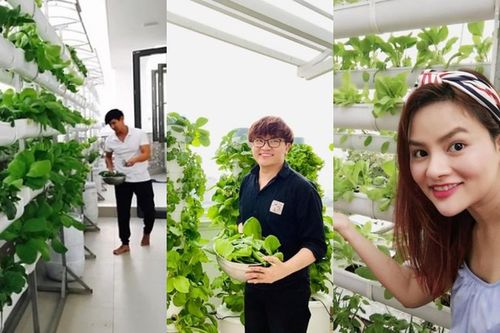 3 vườn rau thủy canh độc đáo trên sân thượng nhà sao Việt