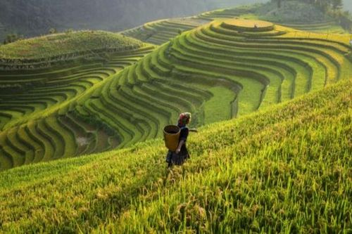 Những yếu tố định hình xu hướng du lịch năm 2022