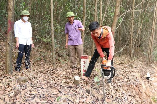 Diễn Châu đốc thúc giải quyết vướng mắc để bàn giao mặt bằng dự án cao tốc Bắc - Nam