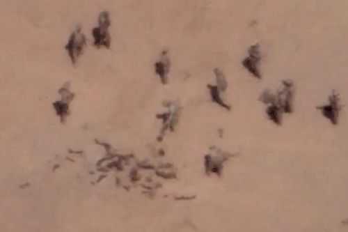 Quân đội Mali phát hiện mộ tập thể gần căn cứ cũ của Pháp