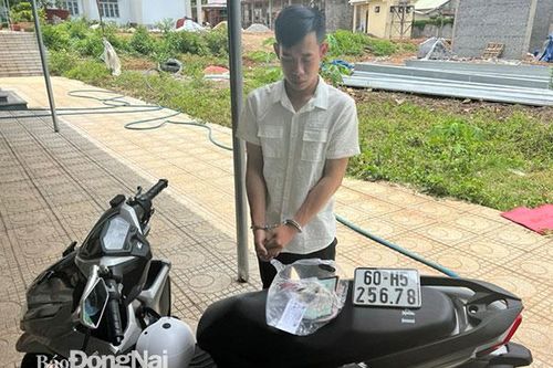 H. Cẩm Mỹ: Lực lượng tuần tra bắt kẻ cướp giật