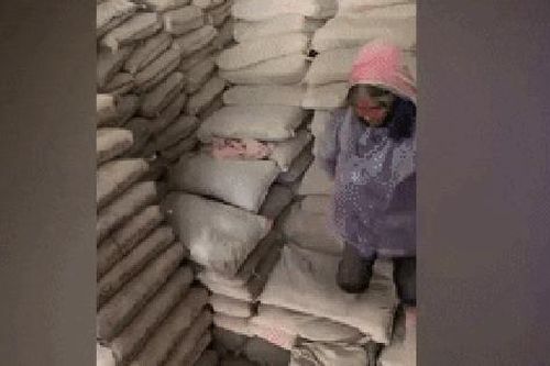 Cụ bà bốc dỡ 1 tấn xi măng kiếm 30 nghìn phụ gia đình: 'Cụ tự nguyện, muốn được đi làm'