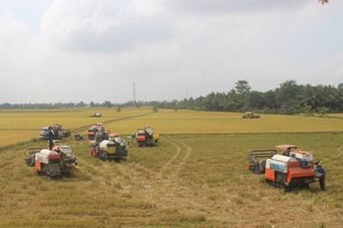 Sức bật từ Nghị quyết 26 ở Trà Vinh