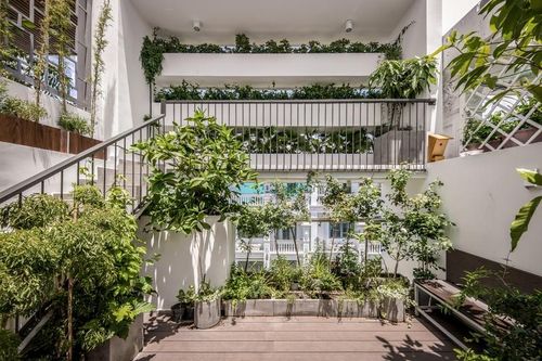 Nhà ống sở hữu 'vườn treo' độc đáo giữa Sài Gòn