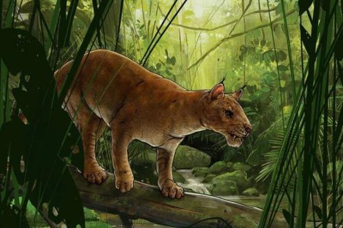 Phát hiện loài săn mồi răng kiếm cổ xưa nhất